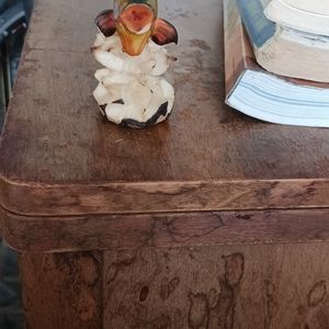 Vegetable ivory,tagua, fish,from.panama